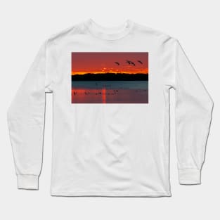 Coming home to roost Long Sleeve T-Shirt